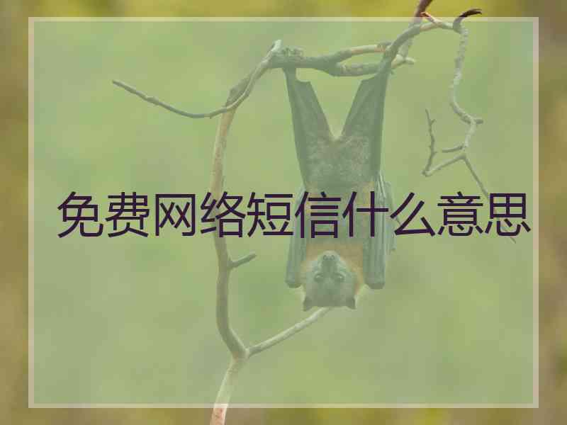 免费网络短信什么意思