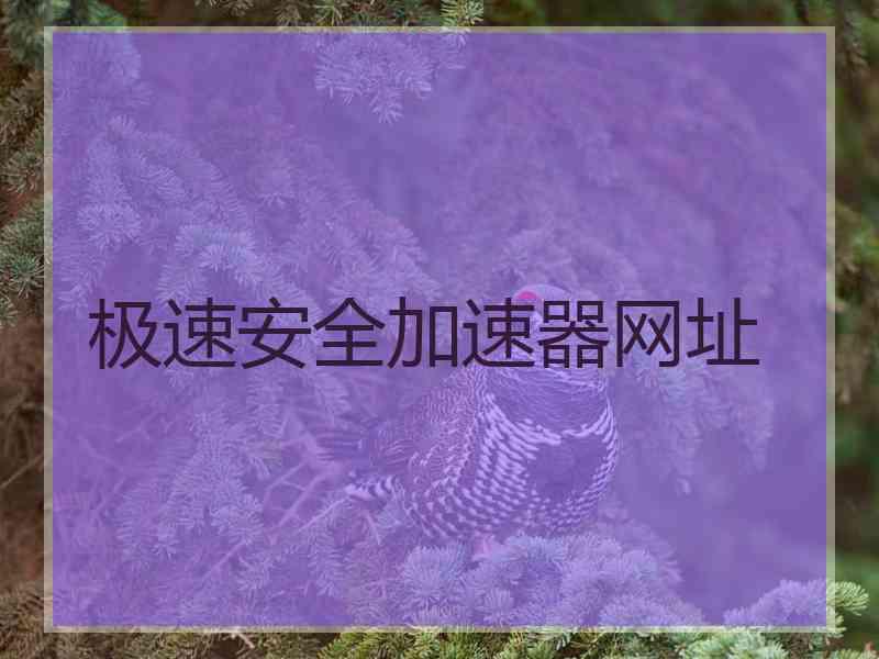 极速安全加速器网址