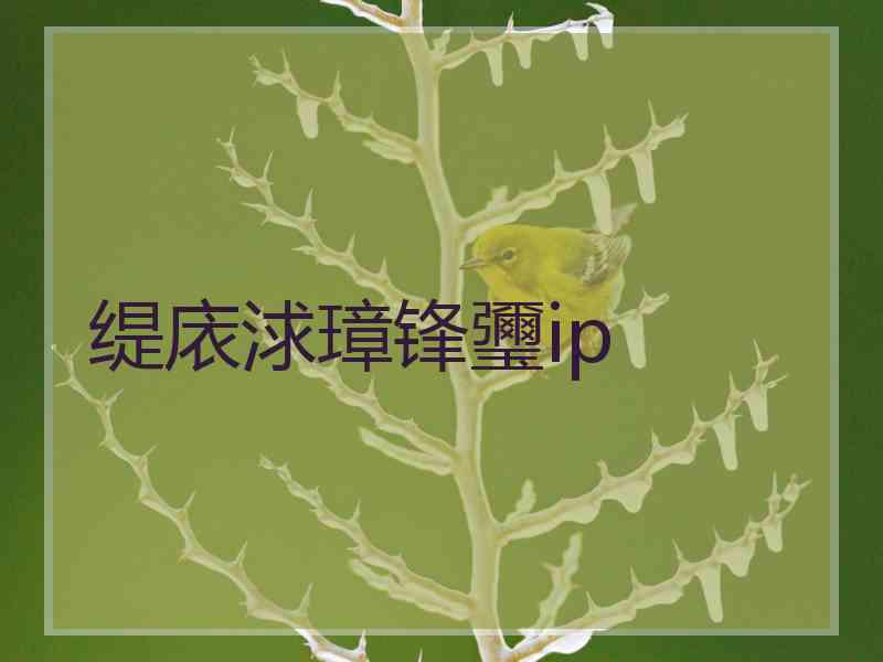 缇庡浗璋锋瓕ip