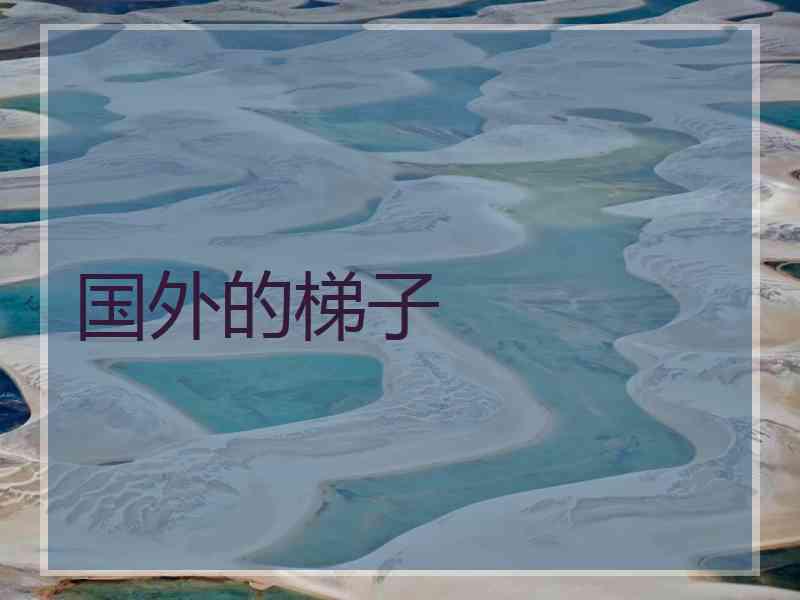 国外的梯子