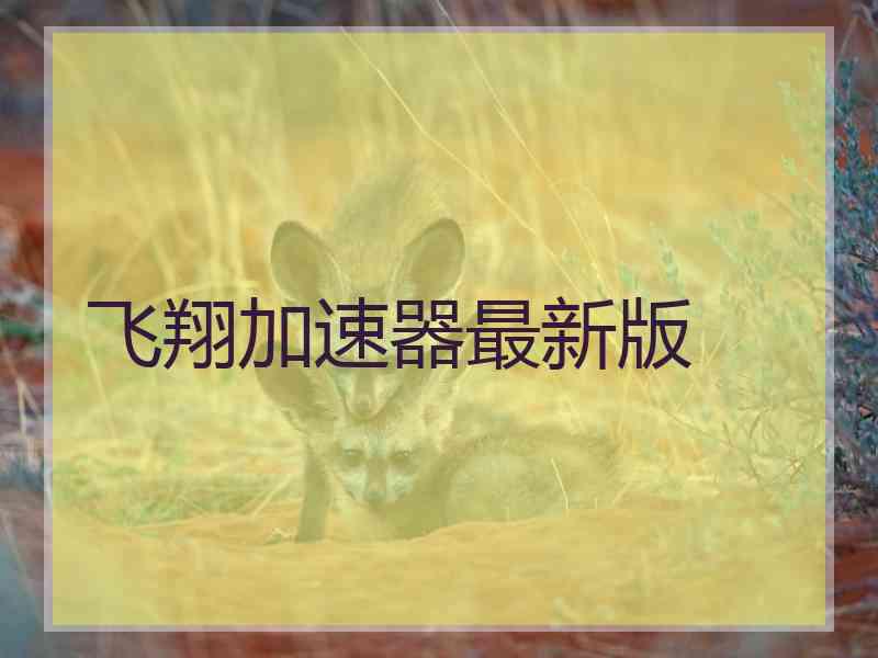 飞翔加速器最新版