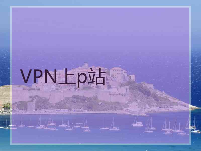 VPN上p站