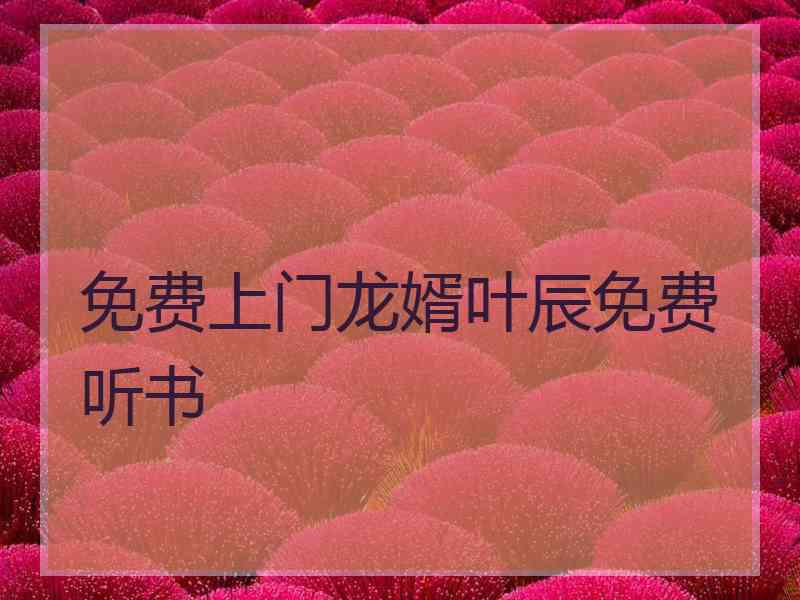 免费上门龙婿叶辰免费听书