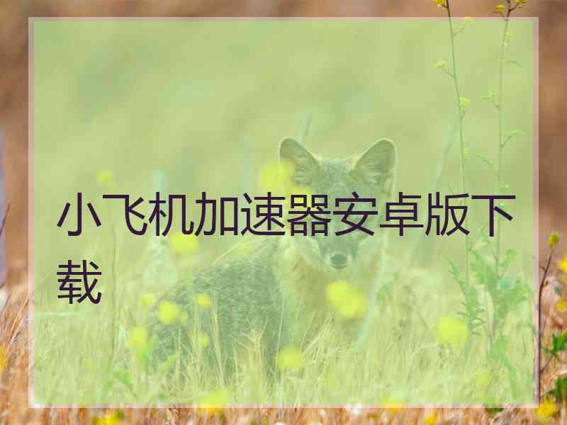 小飞机加速器安卓版下载