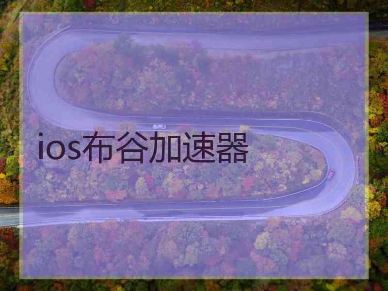 ios布谷加速器