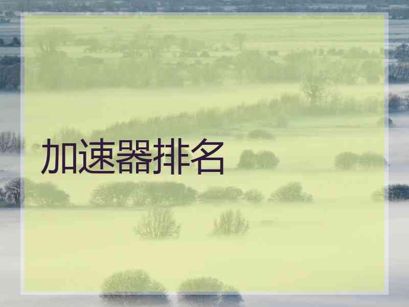 加速器排名