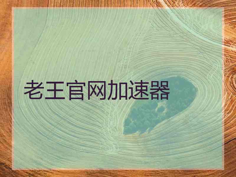 老王官网加速器