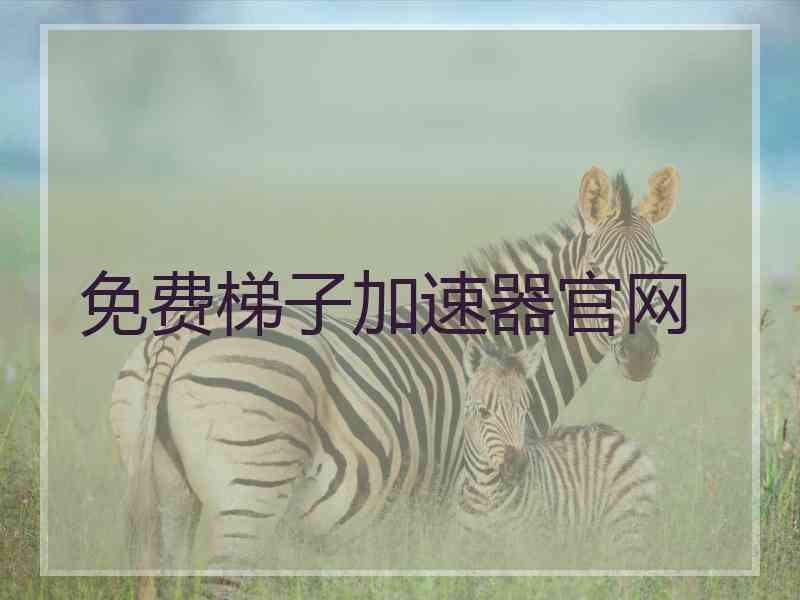免费梯子加速器官网