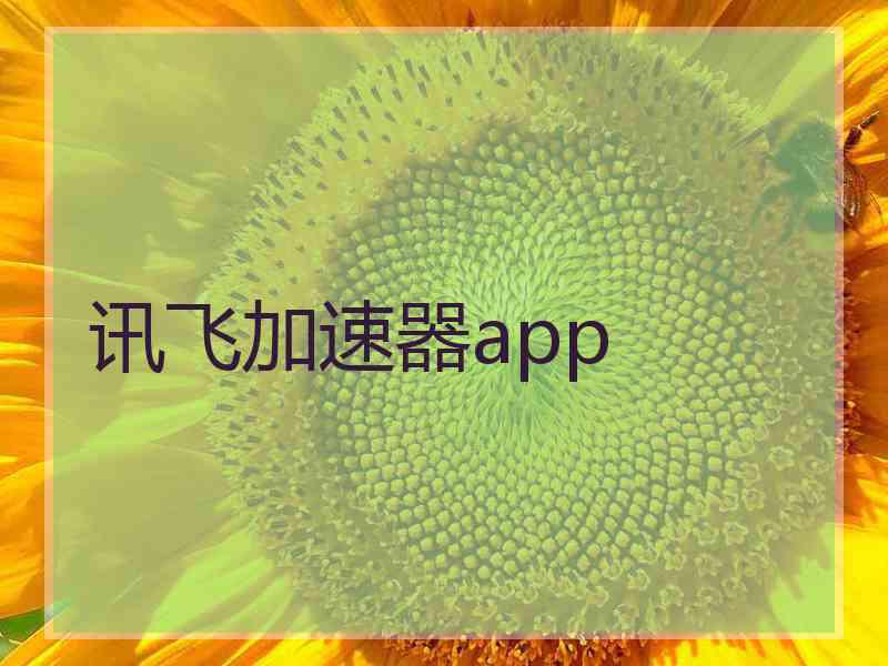 讯飞加速器app
