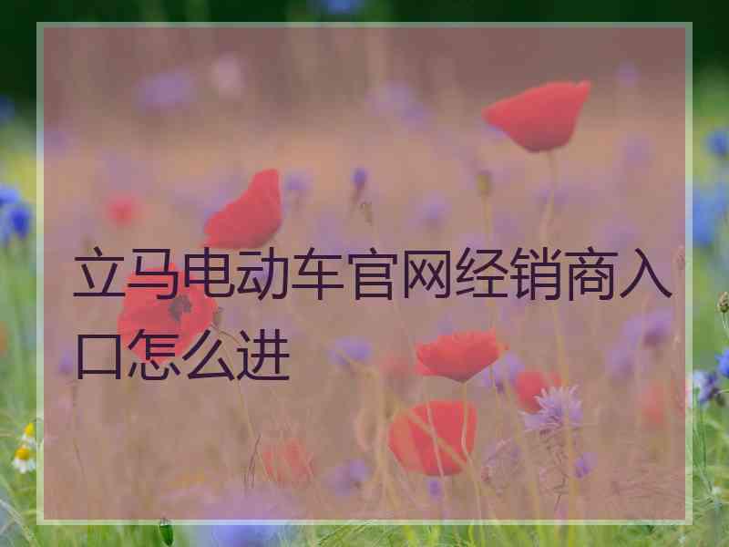 立马电动车官网经销商入口怎么进
