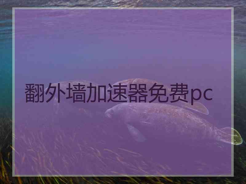 翻外墙加速器免费pc