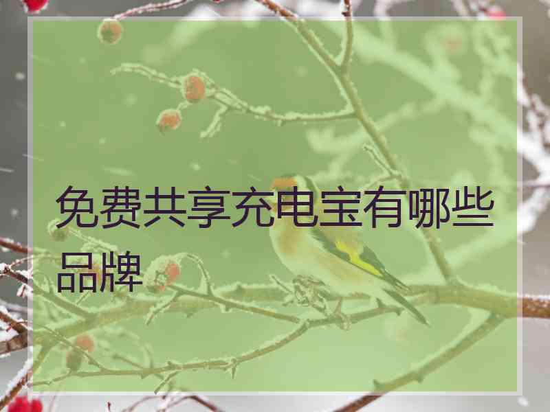 免费共享充电宝有哪些品牌