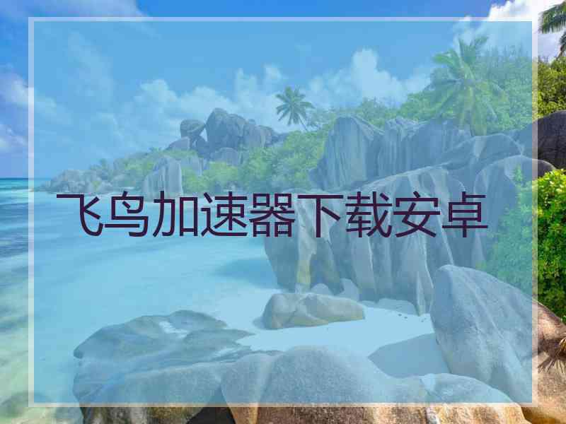飞鸟加速器下载安卓
