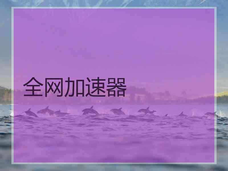 全网加速器