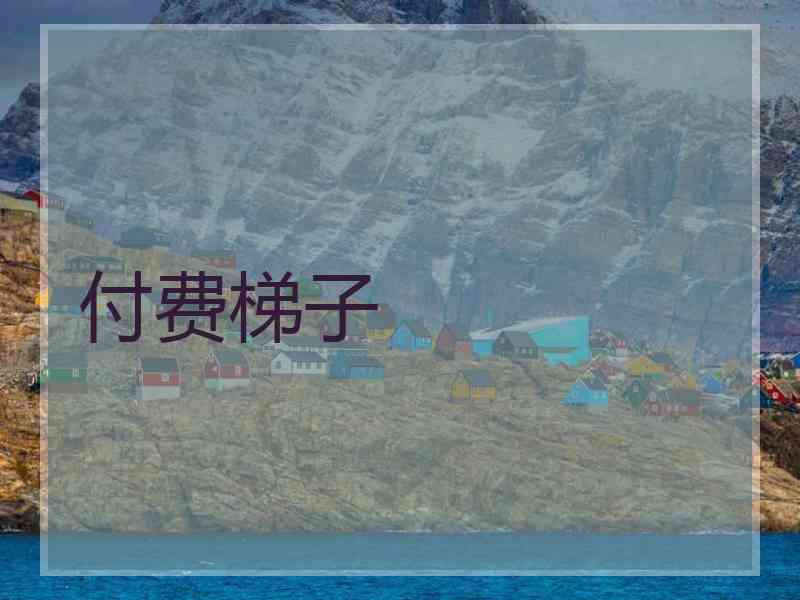 付费梯子