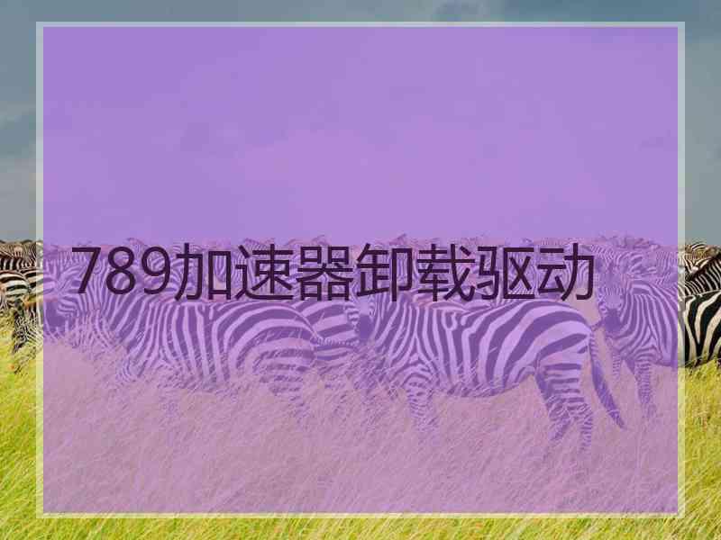 789加速器卸载驱动