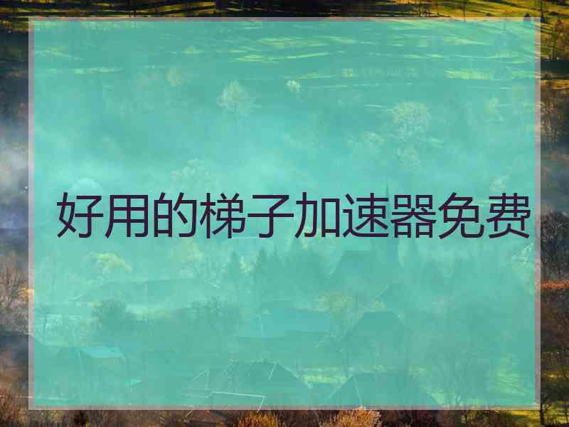 好用的梯子加速器免费