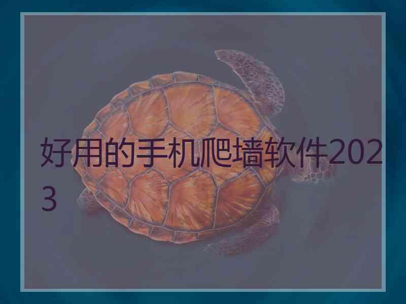 好用的手机爬墙软件2023