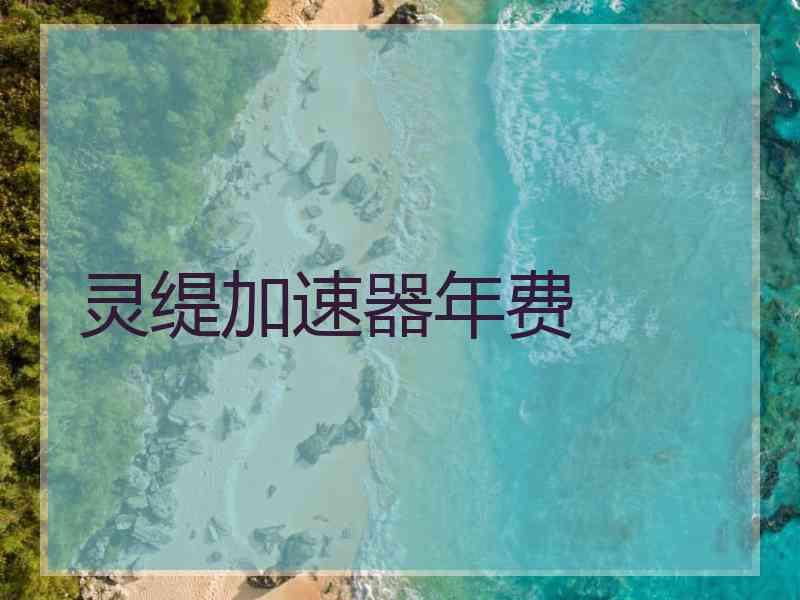 灵缇加速器年费