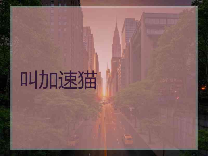 叫加速猫