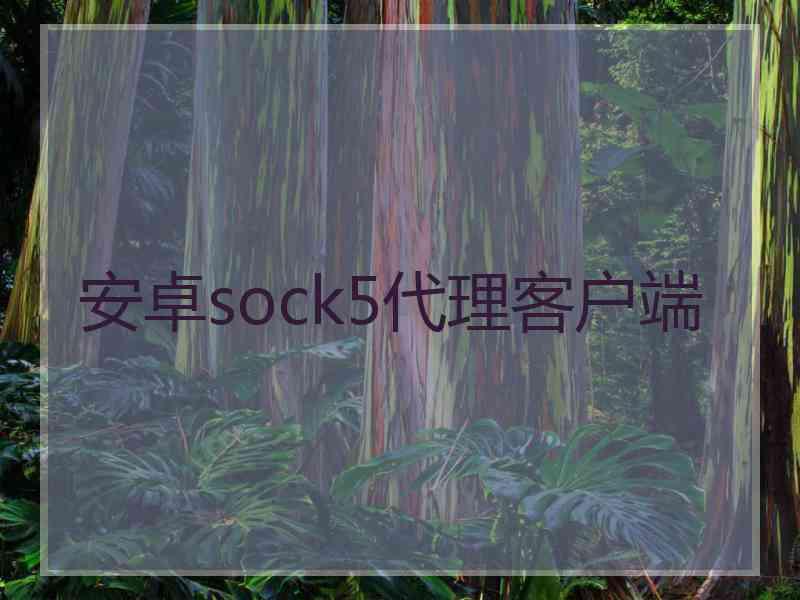 安卓sock5代理客户端