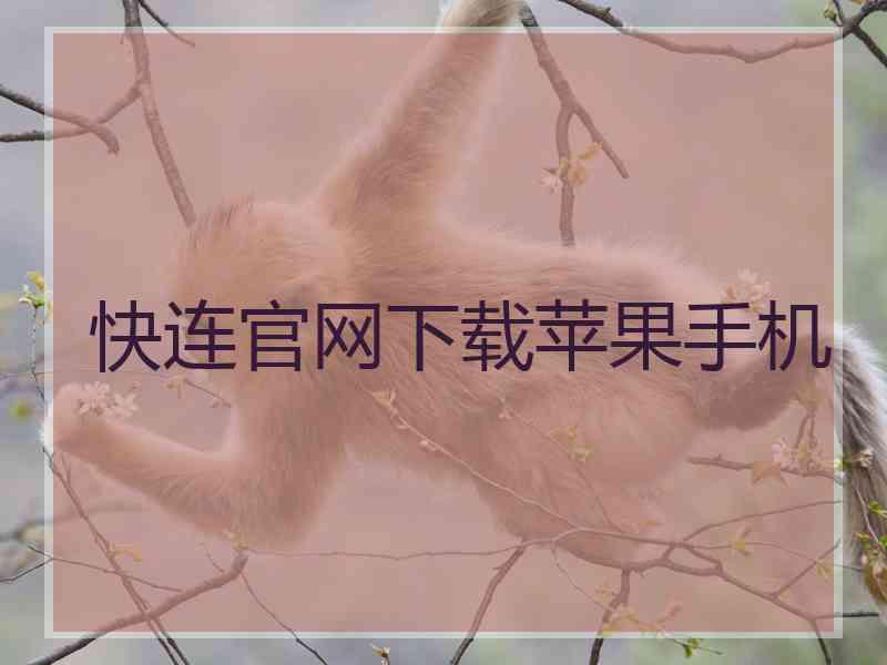 快连官网下载苹果手机