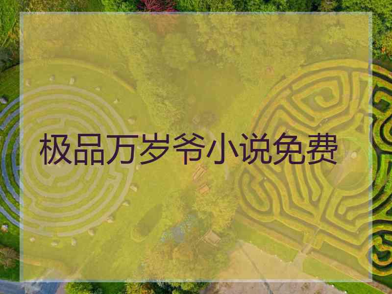 极品万岁爷小说免费