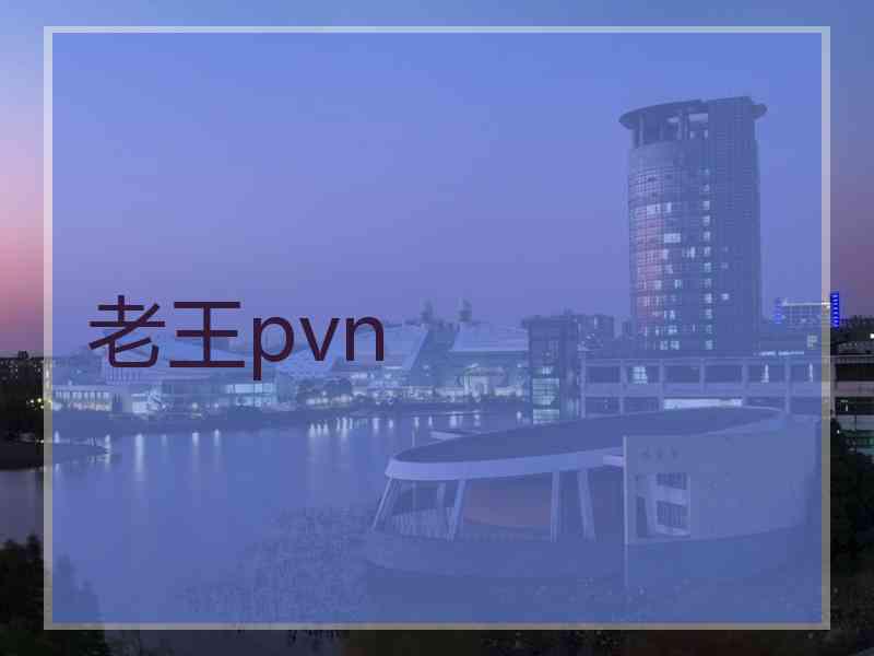 老王pvn