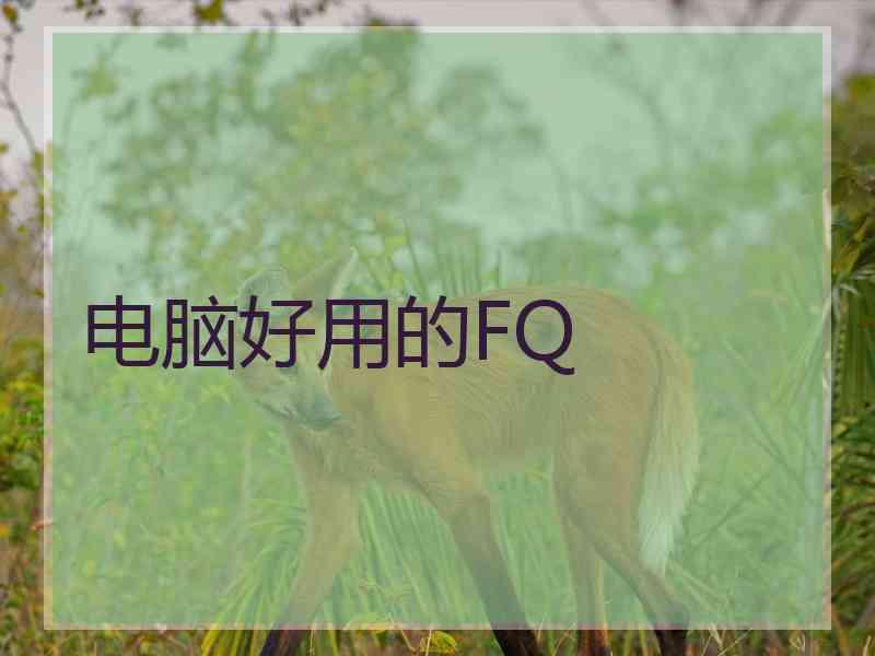电脑好用的FQ