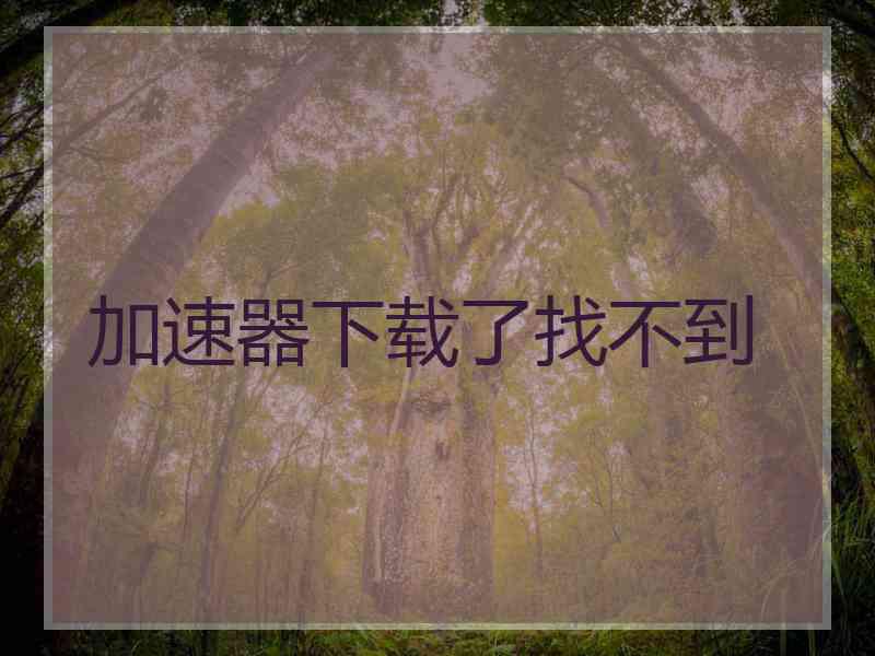 加速器下载了找不到