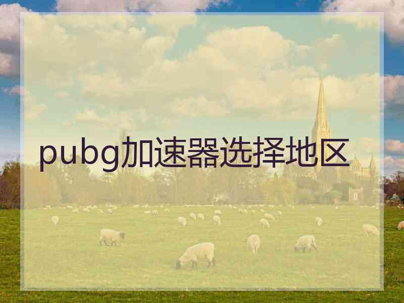 pubg加速器选择地区