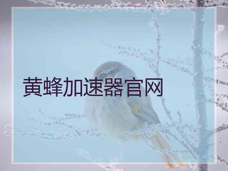 黄蜂加速器官网