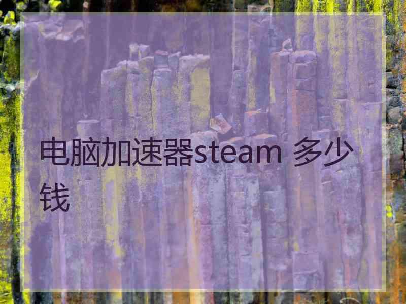 电脑加速器steam 多少钱