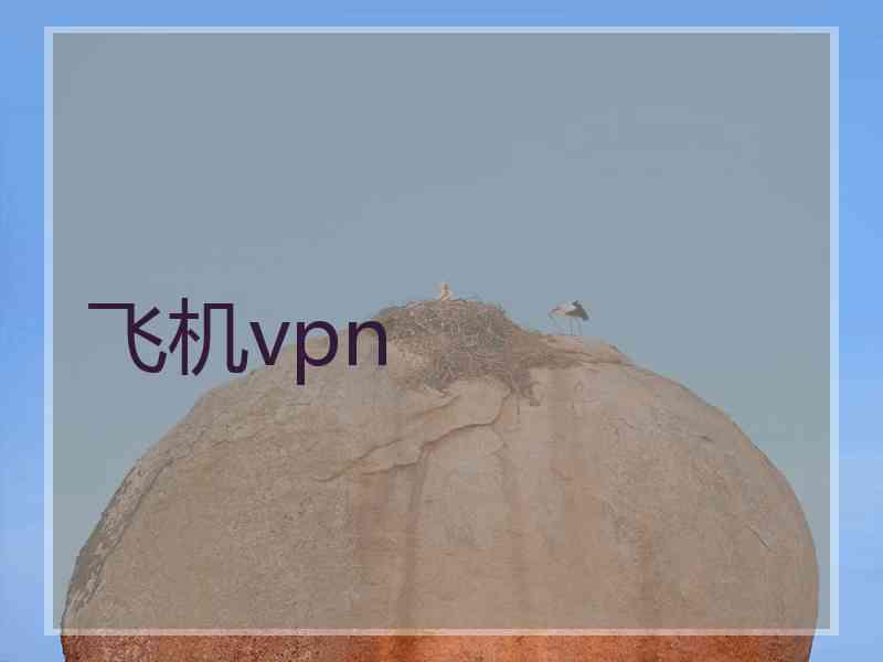 飞机vpn