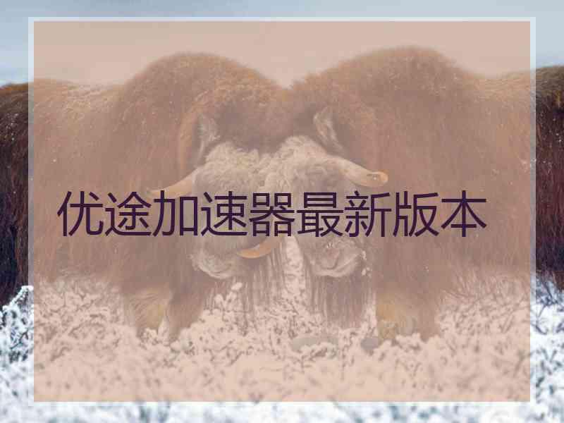 优途加速器最新版本