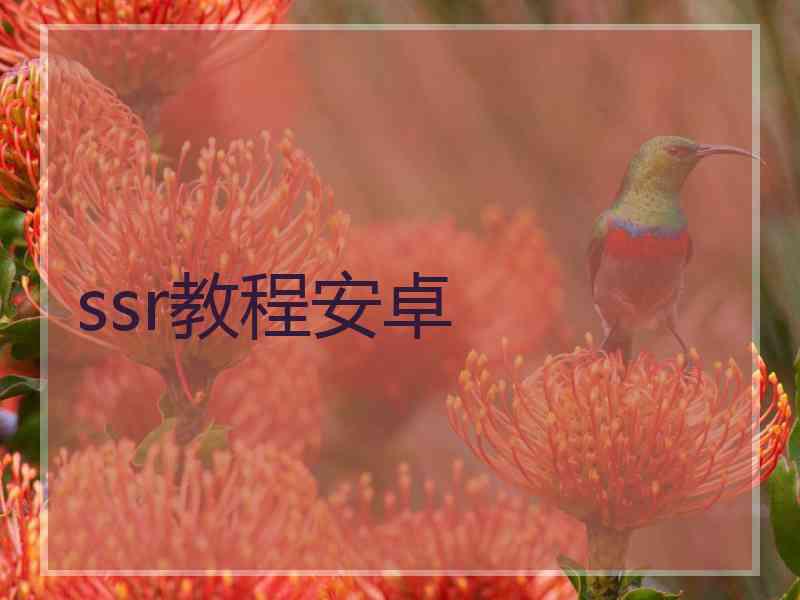 ssr教程安卓