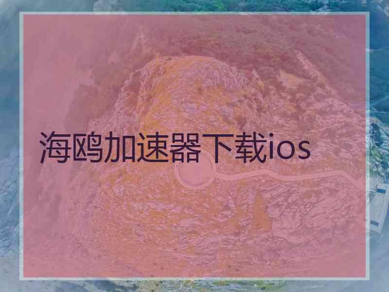 海鸥加速器下载ios