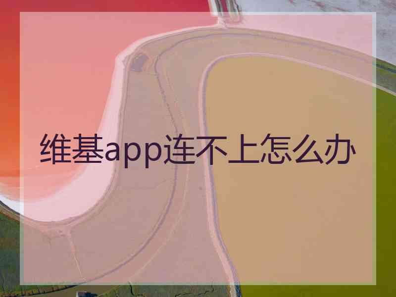 维基app连不上怎么办