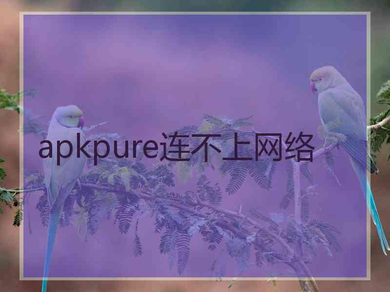 apkpure连不上网络