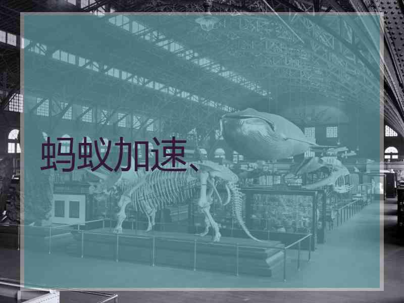 蚂蚁加速、