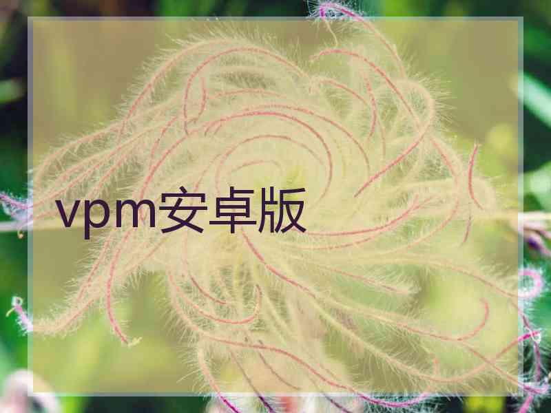 vpm安卓版