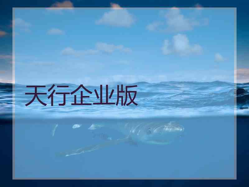 天行企业版