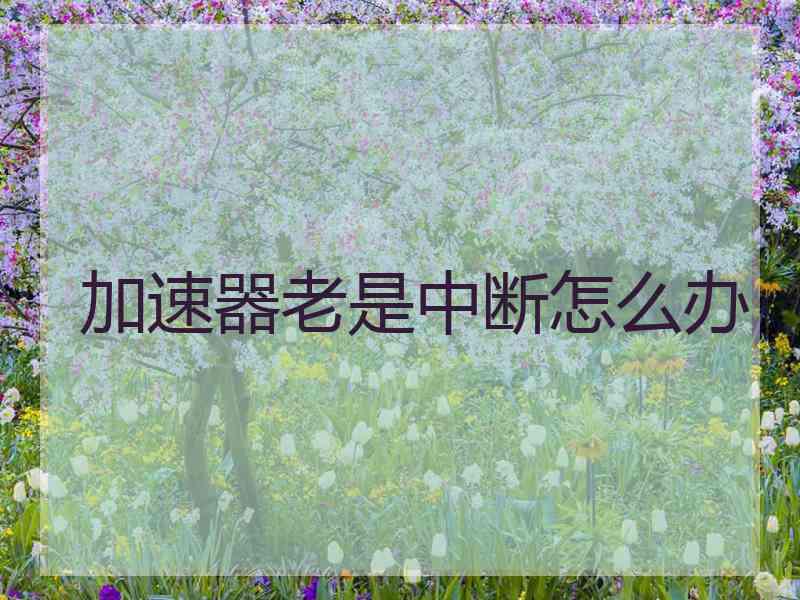 加速器老是中断怎么办