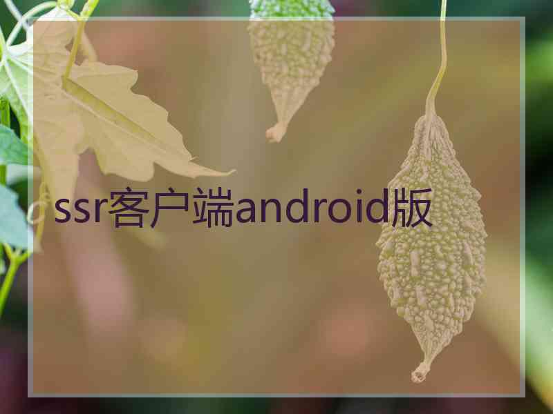 ssr客户端android版