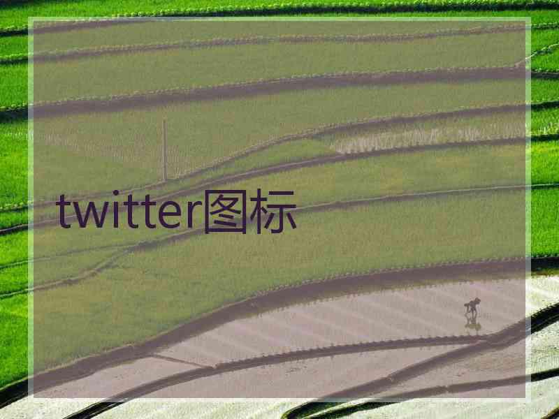 twitter图标