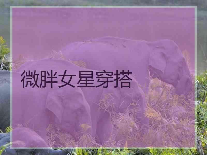 微胖女星穿搭