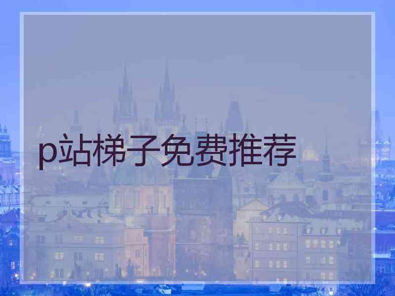 p站梯子免费推荐