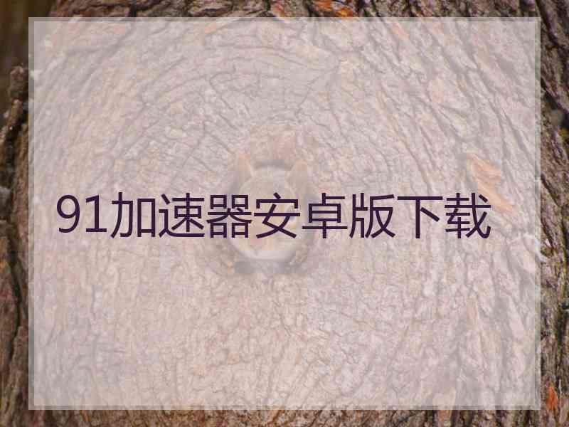 91加速器安卓版下载
