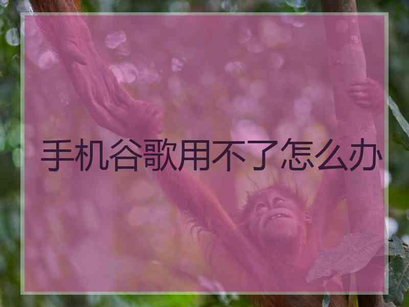 手机谷歌用不了怎么办