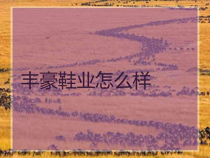 丰豪鞋业怎么样